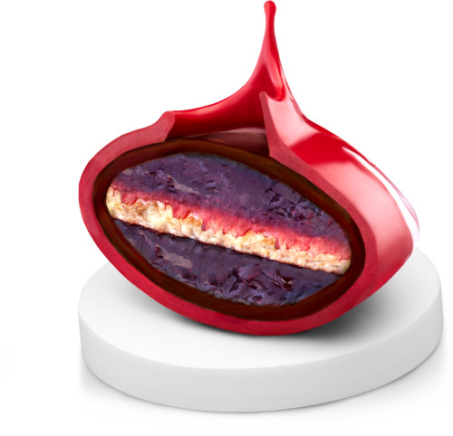 Fabelle Holi- Raspberry and Coconut chocolate creation (Dissected)